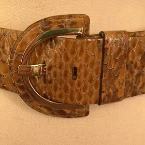 Banana Republic | Accessories | Banana Republic Snake Print  display picture 3